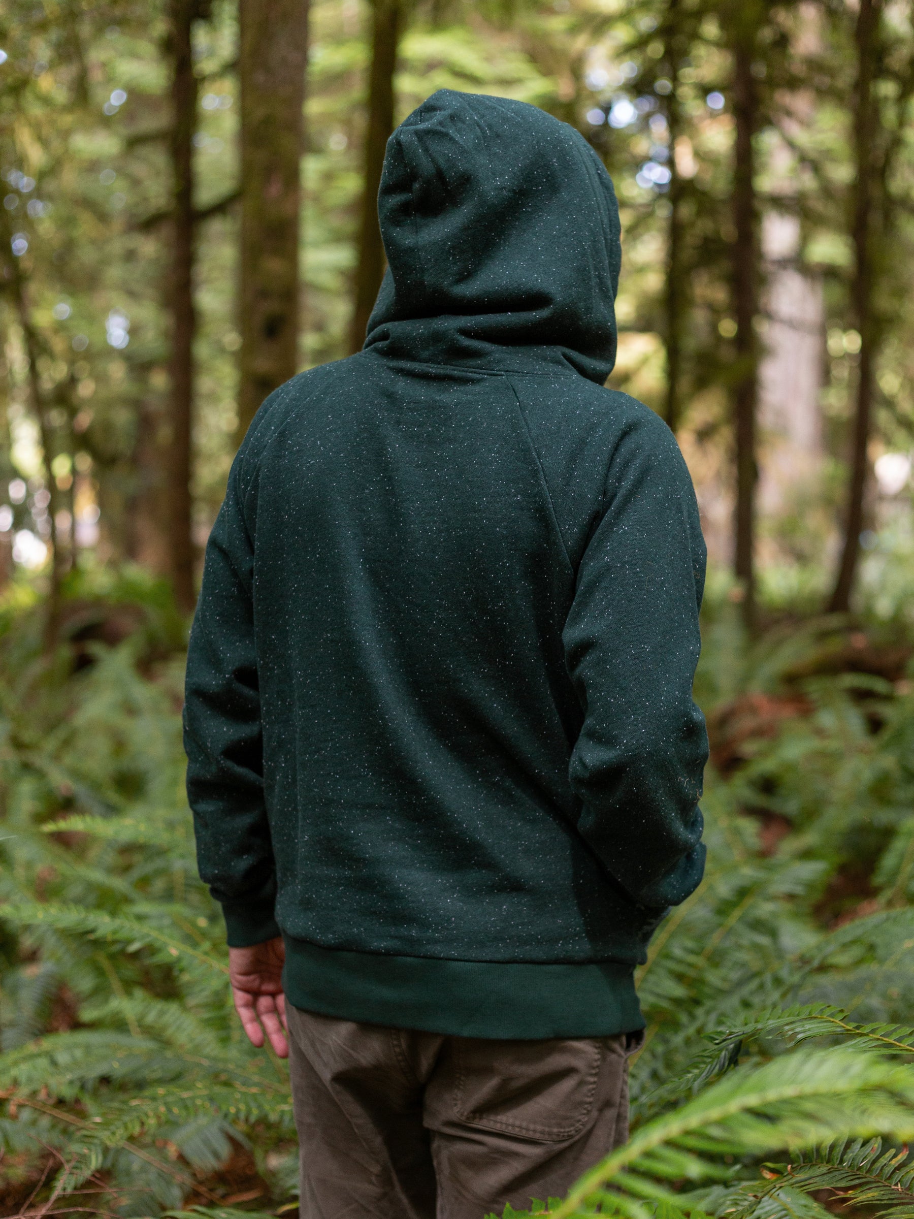 Misty Forest Hoodie