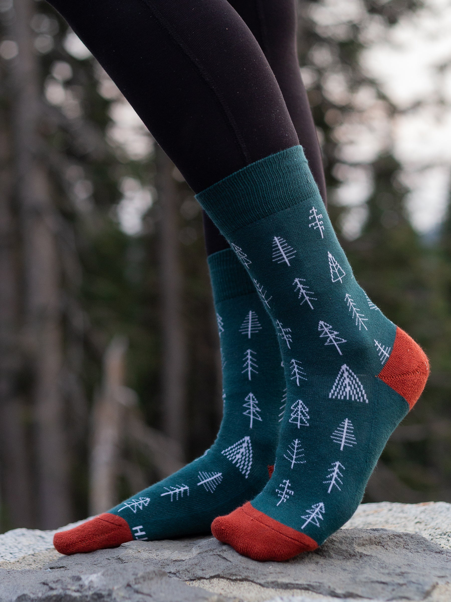 Arboretum Socks